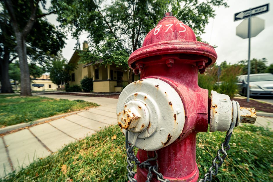 Urban hydrant focus